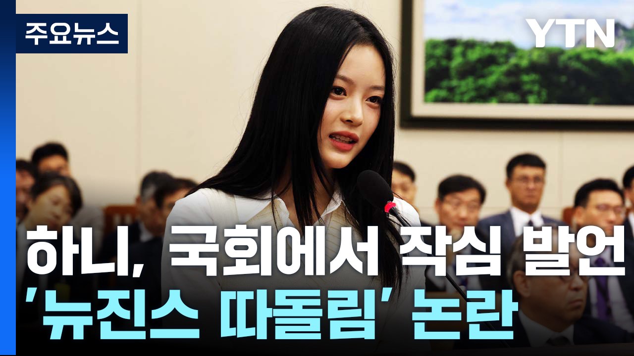하니 "하이브, 우리 싫어한다 확신"...국회에서 작심 발언 / YTN
