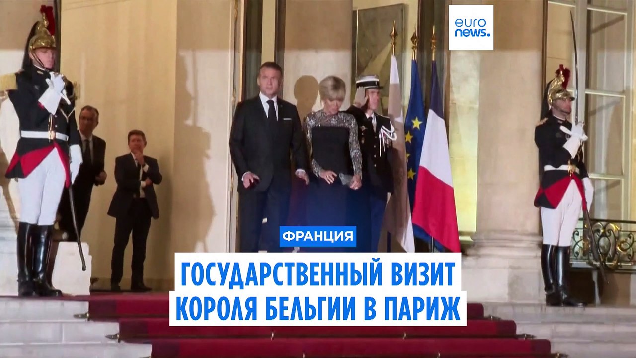 Государственный визит короля Бельгии во Францию