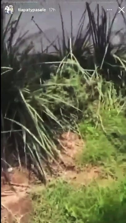 Fernando Gago - Casa Guadalajara