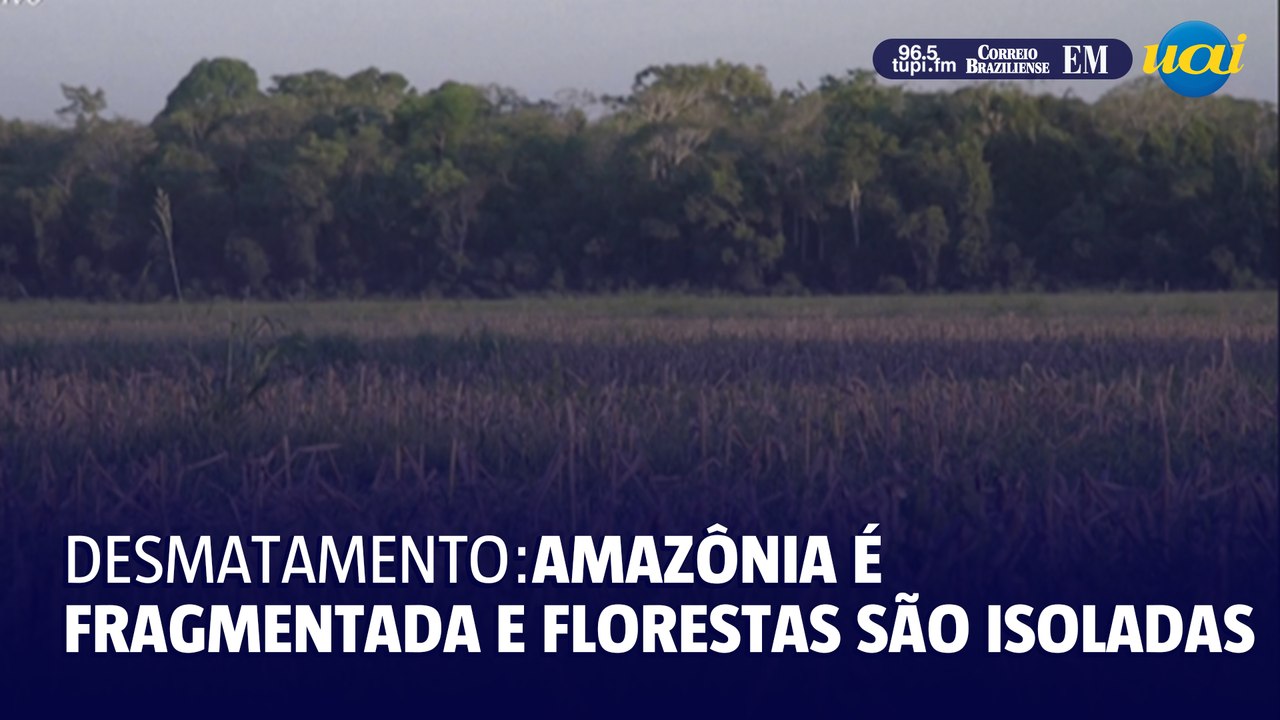 Desmatamento fragmenta a Amazônia e isola 23% de suas florestas, diz estudo