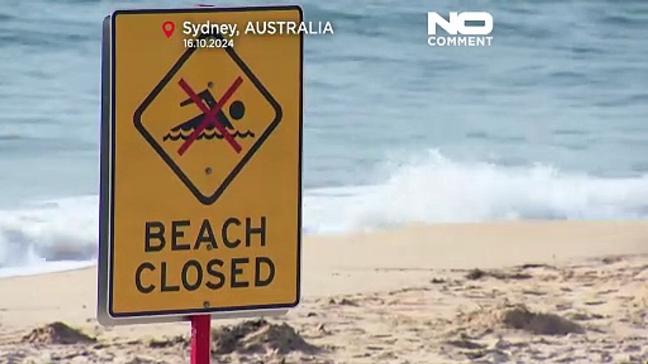 Таинственные черные шары заполонили пляжи Сиднея