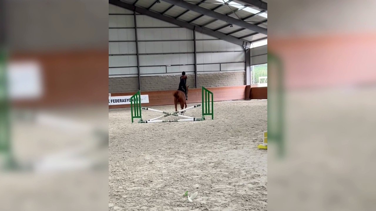 Sosyal medya fenomeni Danla Bilic, ata binerken yaşadığı kazayı paylaştı