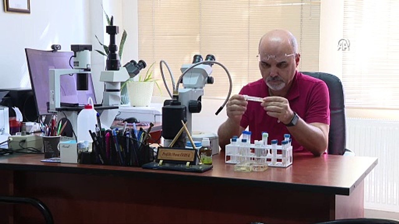 Yeni bulunan türe Murat Sezgin'in ismi verildi