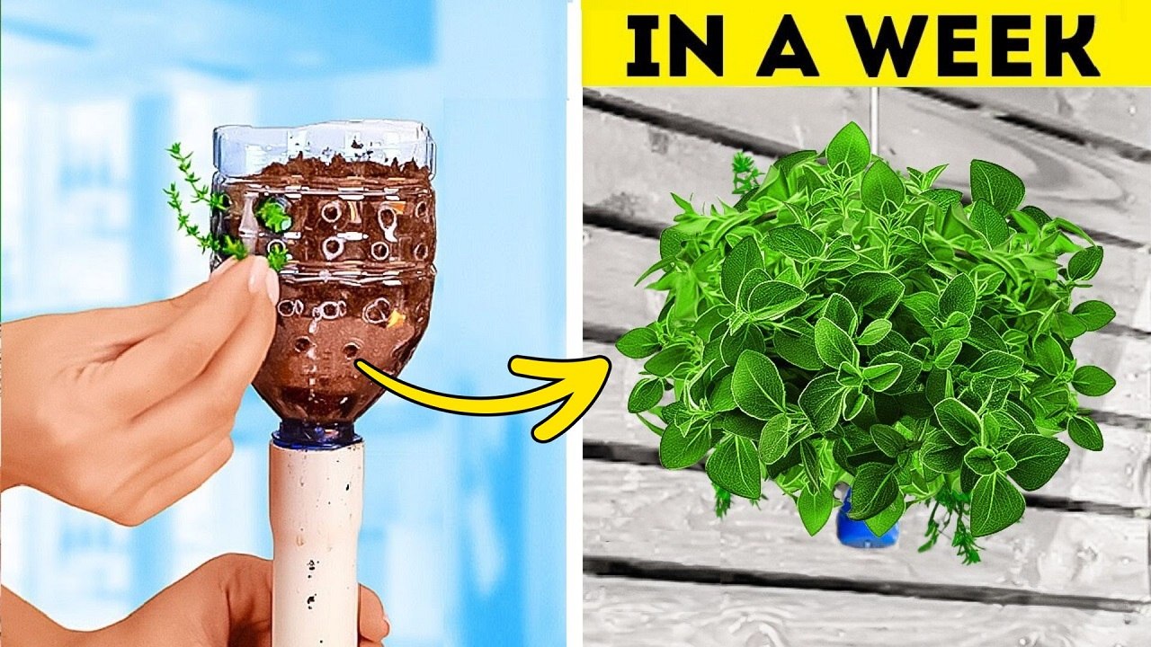 Amazing Gardening Hacks, Planting Techniques and Plastic Bottle Craft Ideas
