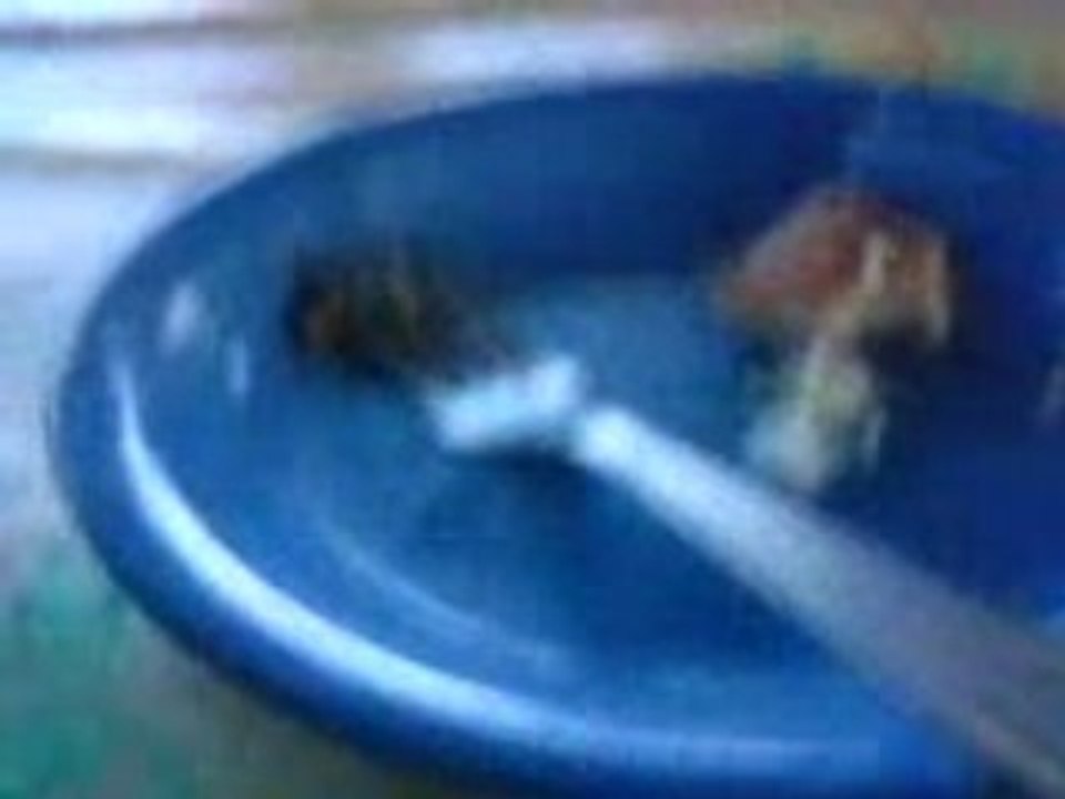 Ché Math 2: Essential Concepts