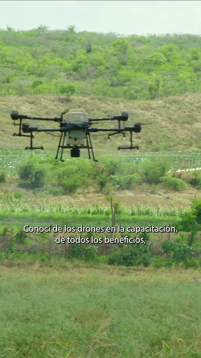 Capacitación e Innovación