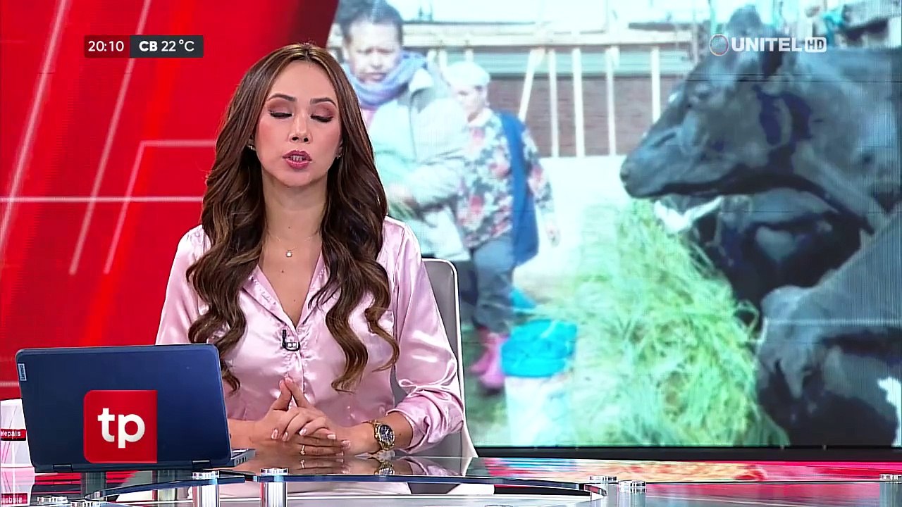 Cochabamba: Por bloqueos, sector lechero perderá 335 mil litros diarios