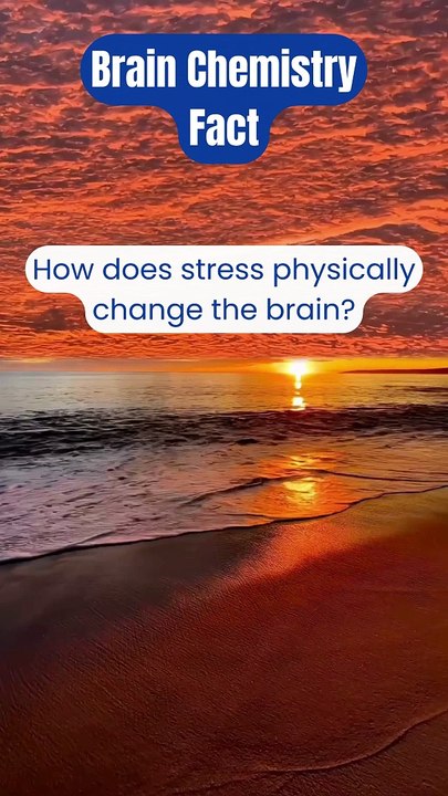 Unlocking the Secrets of Brain Chemistry! ✨