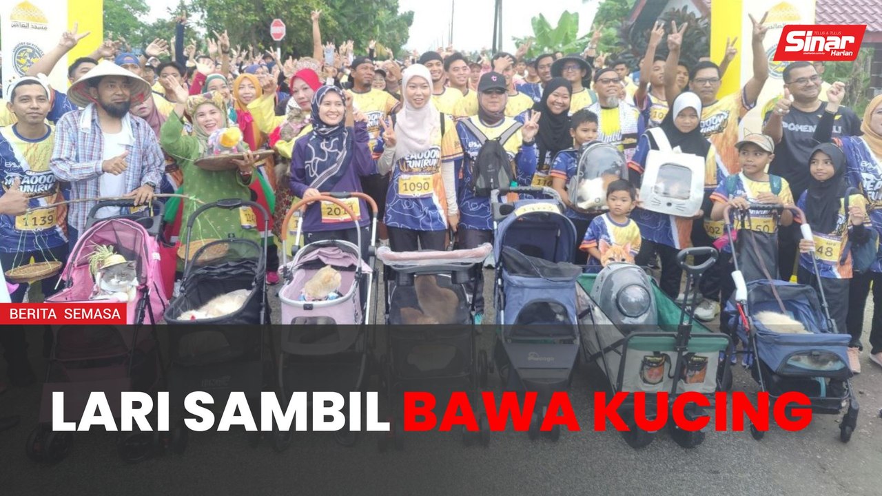 Lari Bersama Kucing di Sawah