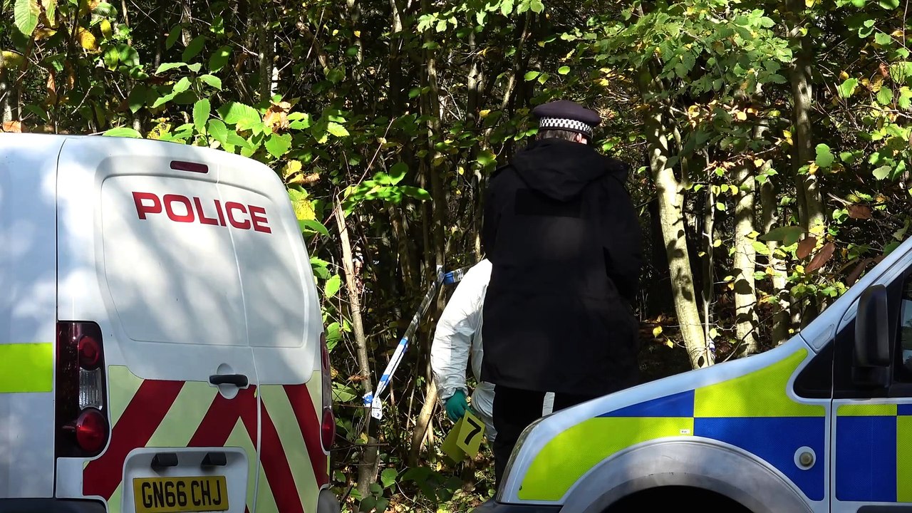 Peasmarsh murder investigation