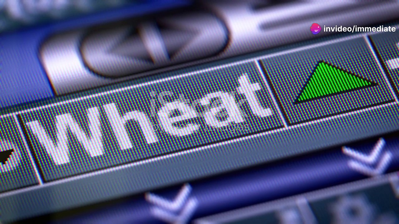 Immediate Prime 3.7 Bewertungen-{Immediate Prime Test}-Kombination von KI und Marktexpertise für intelligente Handelsentscheidungen !!