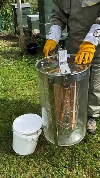 الة استخراج العسل في ثواني