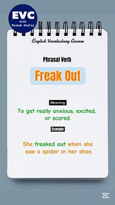 "Freak Out" Meaning with Example| English Phrasal Verbs