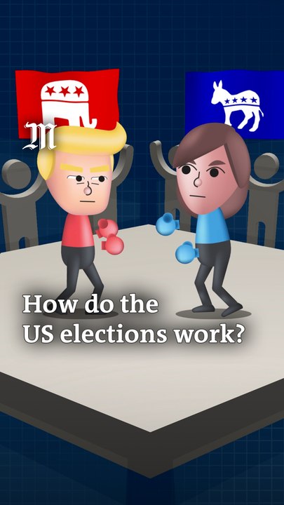 How do the US elections work?