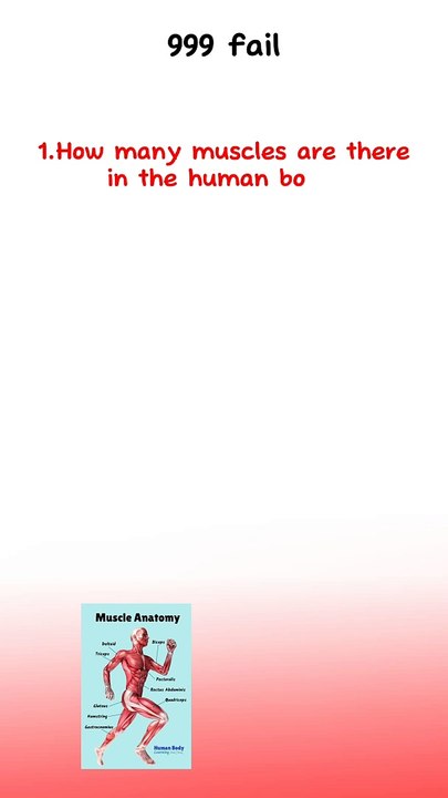 Quiz questions and answers