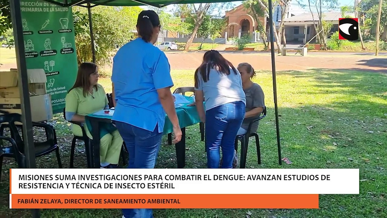 Misiones suma investigaciones para combatir el dengue avanzan estudios de resistencia y técnica de insecto estéril
