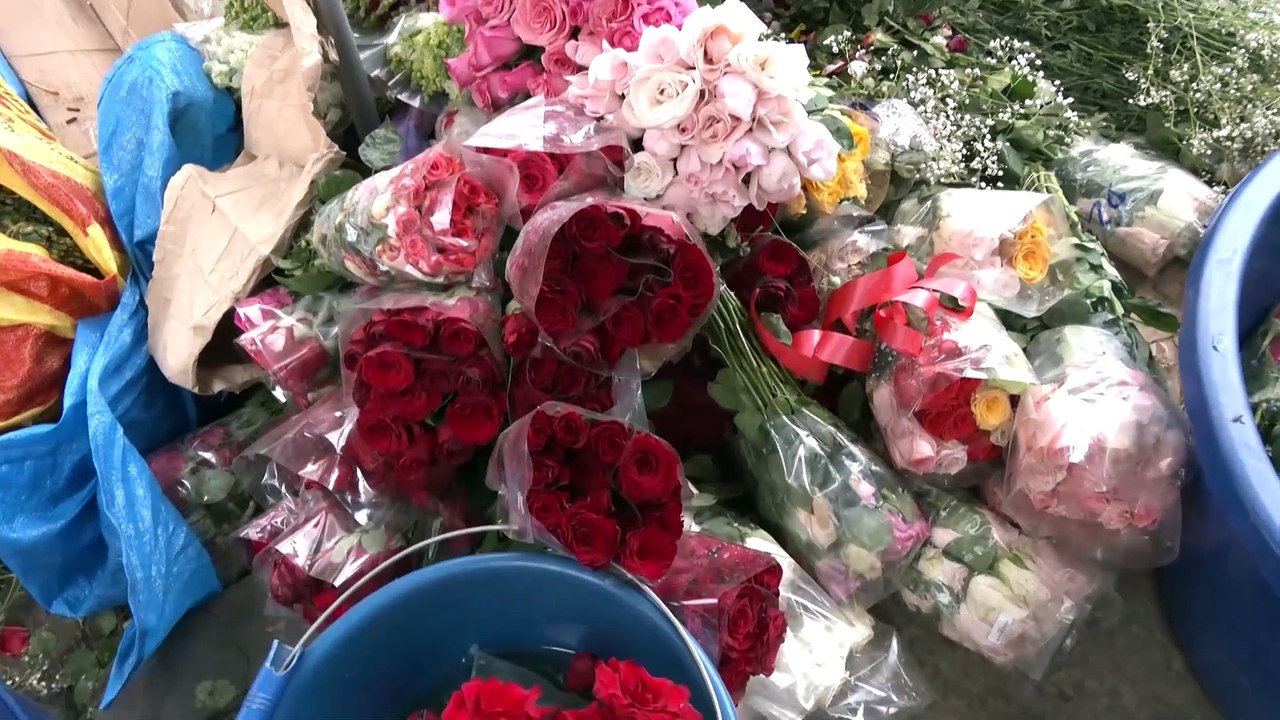 Bolivia enfrenta pérdidas de 1.500 millones de dólares tras 17 días de bloqueos