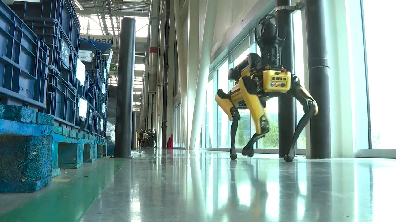 Meet ‘Rover', the AI-driven robot dog