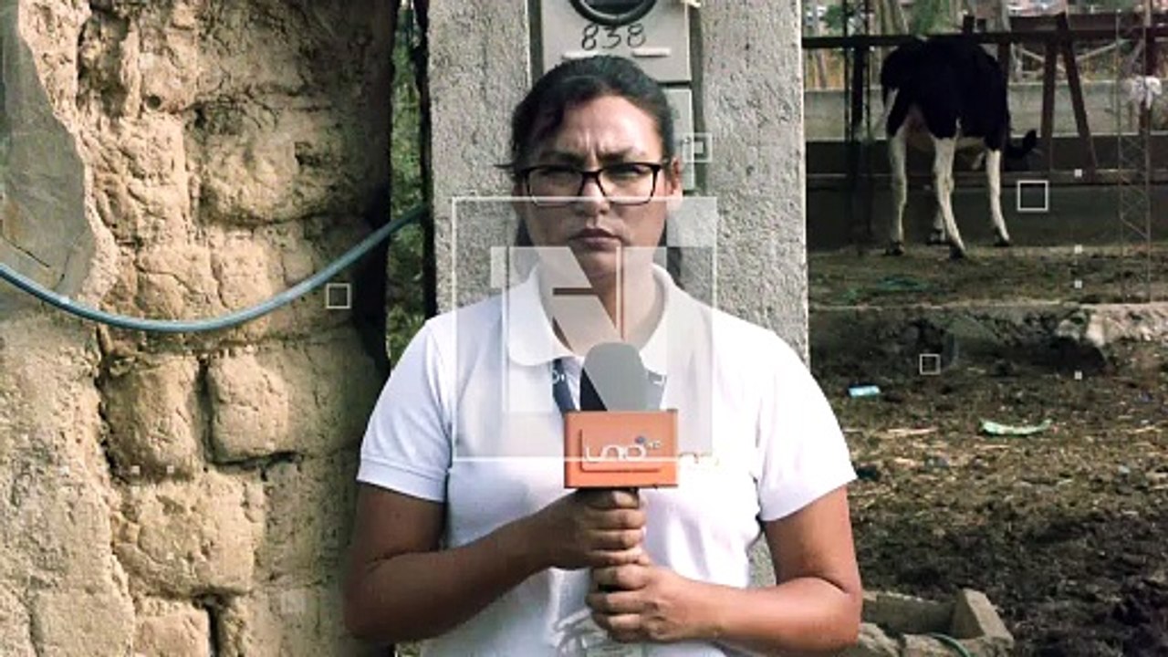 ¡Las vacas no entienden de bloqueos! Productores lecheros están emergencia