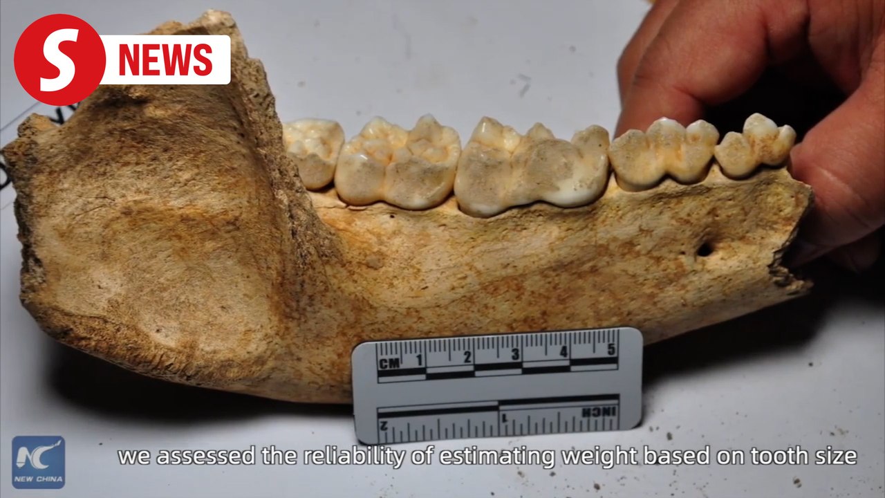 Shuanghe Cave: Asia's longest cave holds 100,000-year-old panda fossils