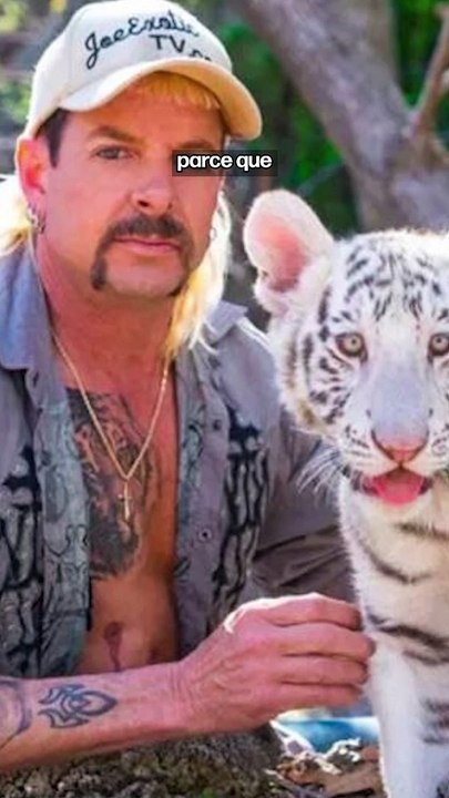 Des séries pour comprendre le combat de Paul Watson