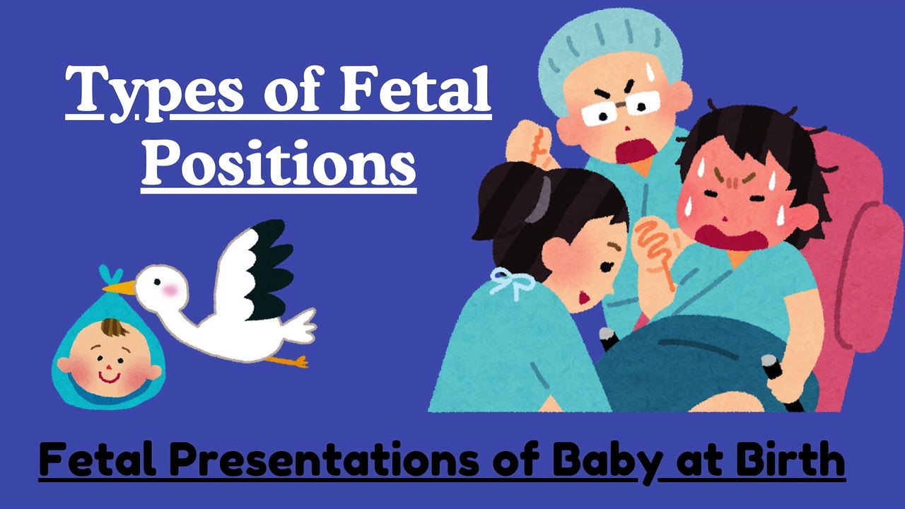 Types of Fetal Positions, Fetal Presentations During Delivery: Cephalic, Breech, Shoulder and Compound EXPLAINED |Novice Medic