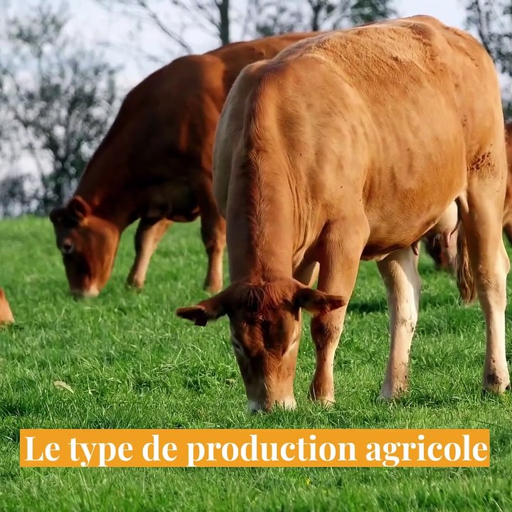 Les paramètres qui influencent les disparités des revenus agricoles