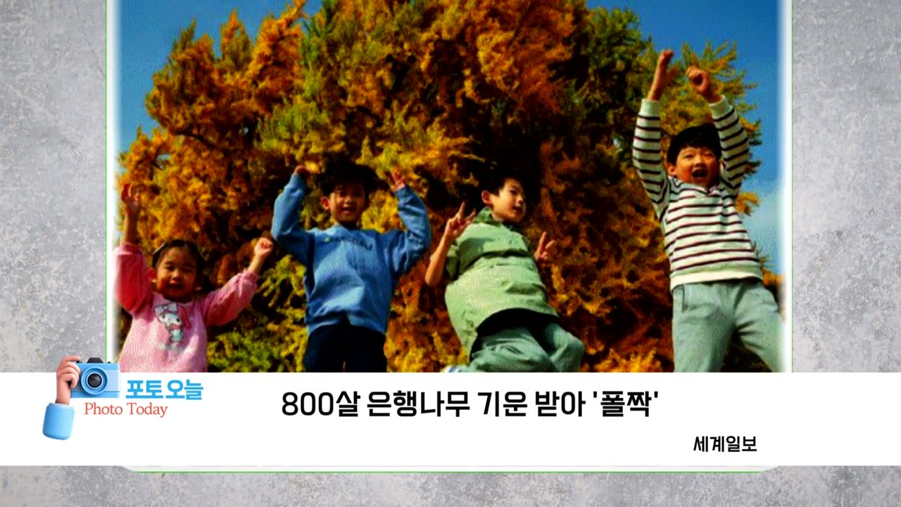 [포토오늘] 800살 은행나무 기운 받아 '폴짝' / YTN