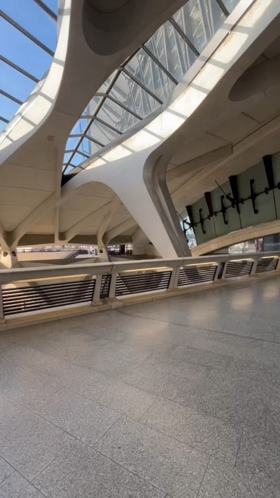 LA MAJESTUEUSE architecture de l’aéroport de Lyon