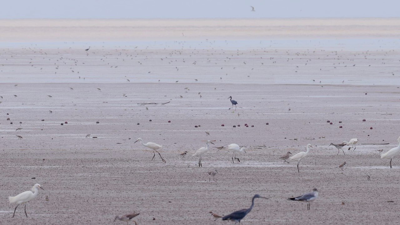 La vase source de vies