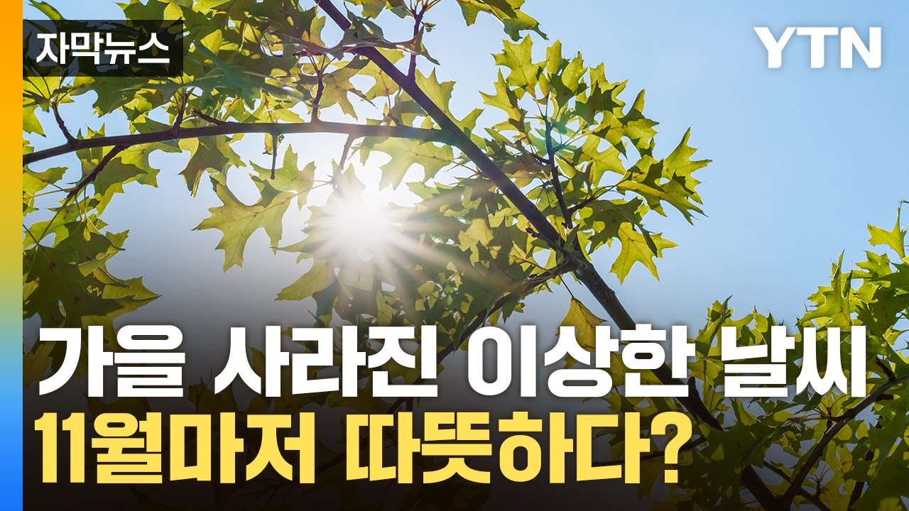 [자막뉴스] 9월 여름, 10월도 여름...11월도 따뜻한 날씨 이어지나? / YTN