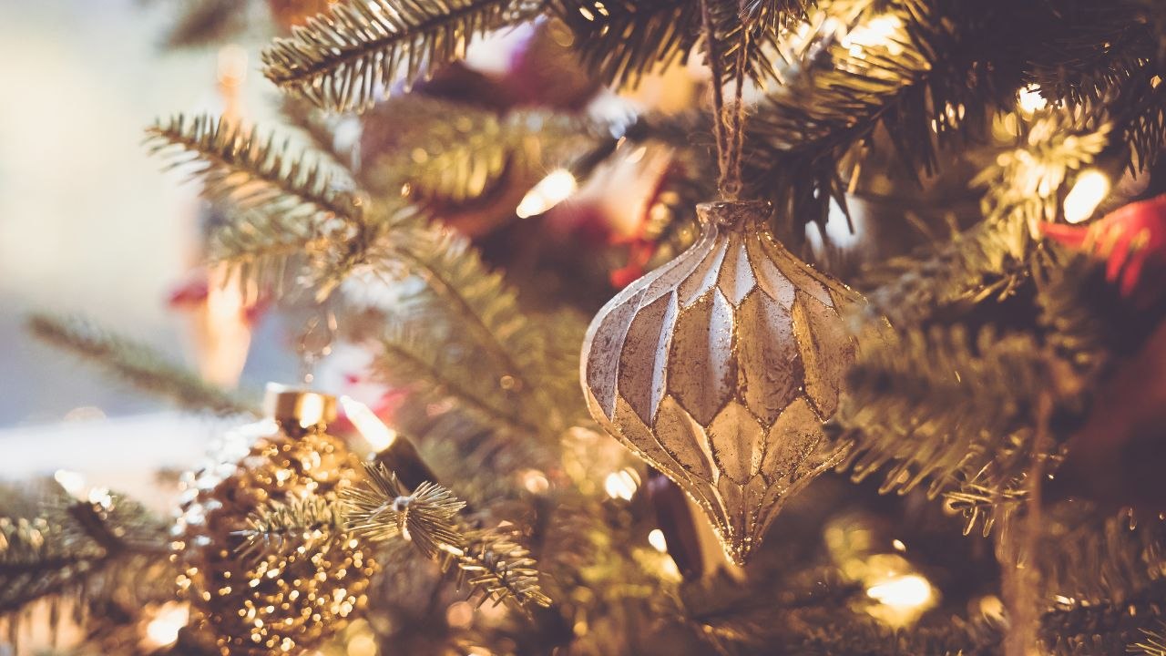 Are Americans over holiday gatherings?