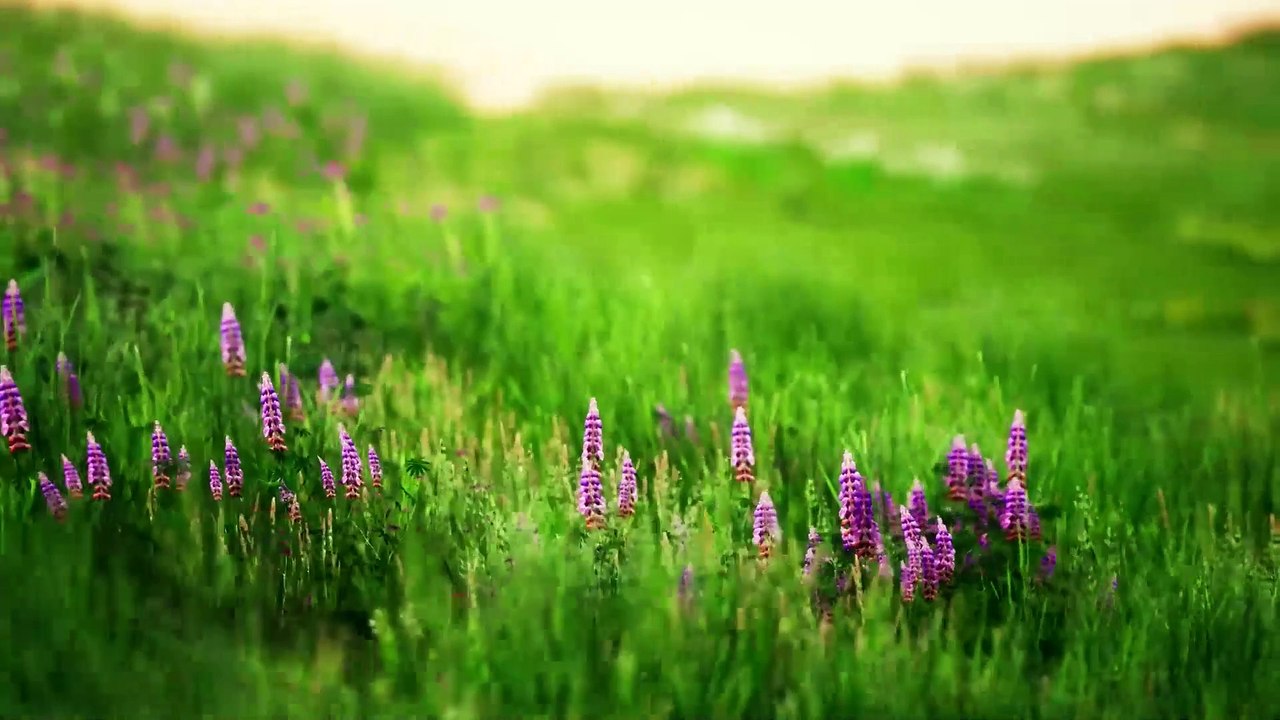 If Deodorant Ads Were Honest - Honest Ads