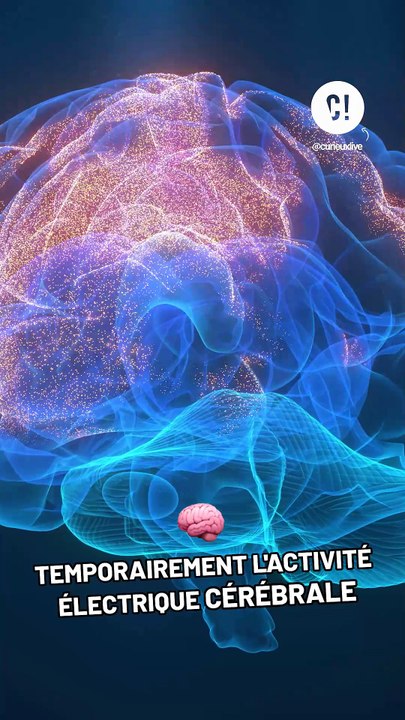 Le téléphone portable donne-t-il des cancers ?