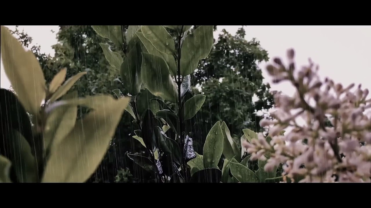 Hot sexy The Shadow People _ Full Horror Movie _ Kat Steffens _ C Thomas Howell