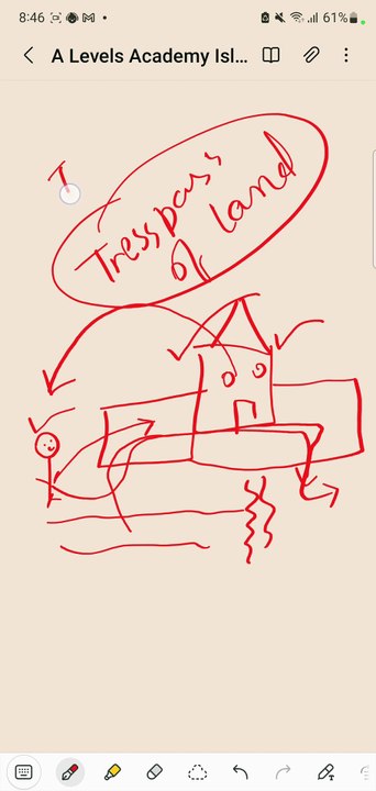 Understanding Torts: Importance and Explanation by Barrister Amna