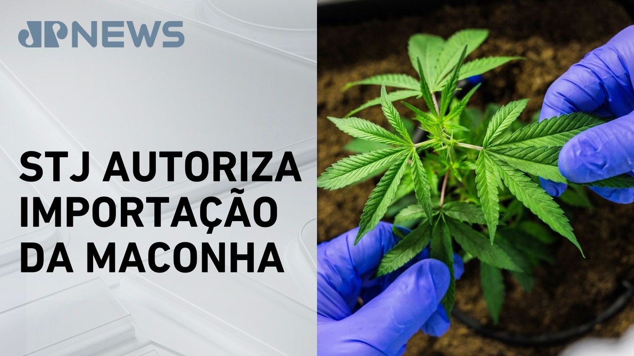 Superior Tribunal de Justiça libera cultivo de cannabis para fins medicinais