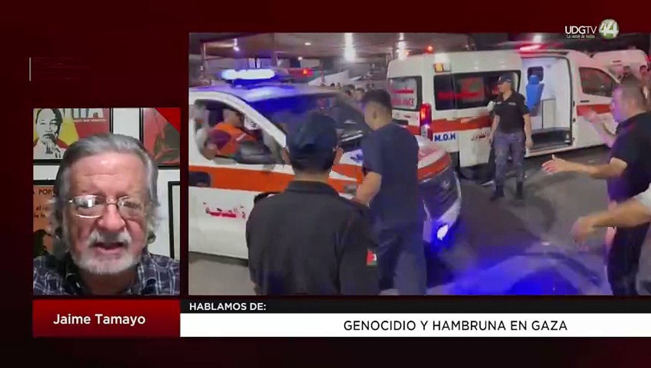 Genocidio y hambruna en Gaza: Jaime Tamayo