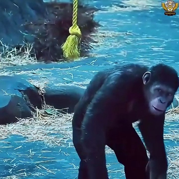 Blockbuster movie scene