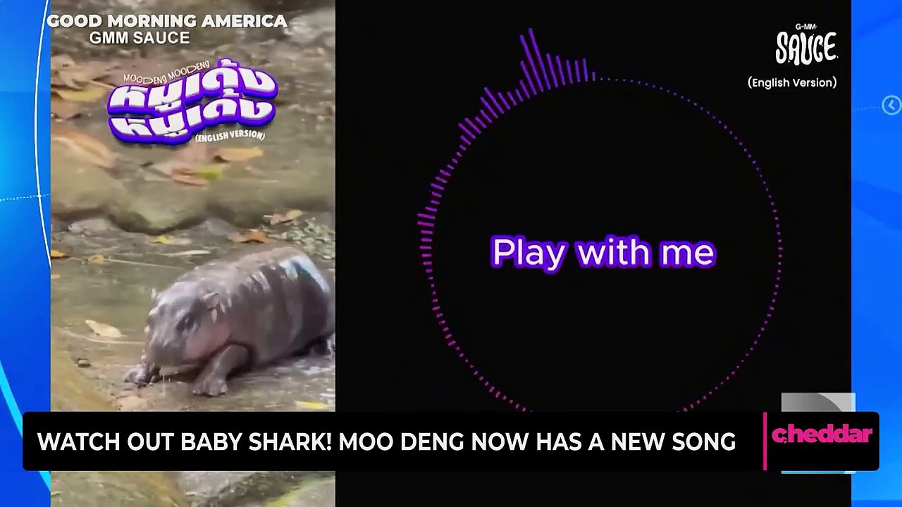 Watch Out Baby Shark! Moo Deng Now Has a New Song