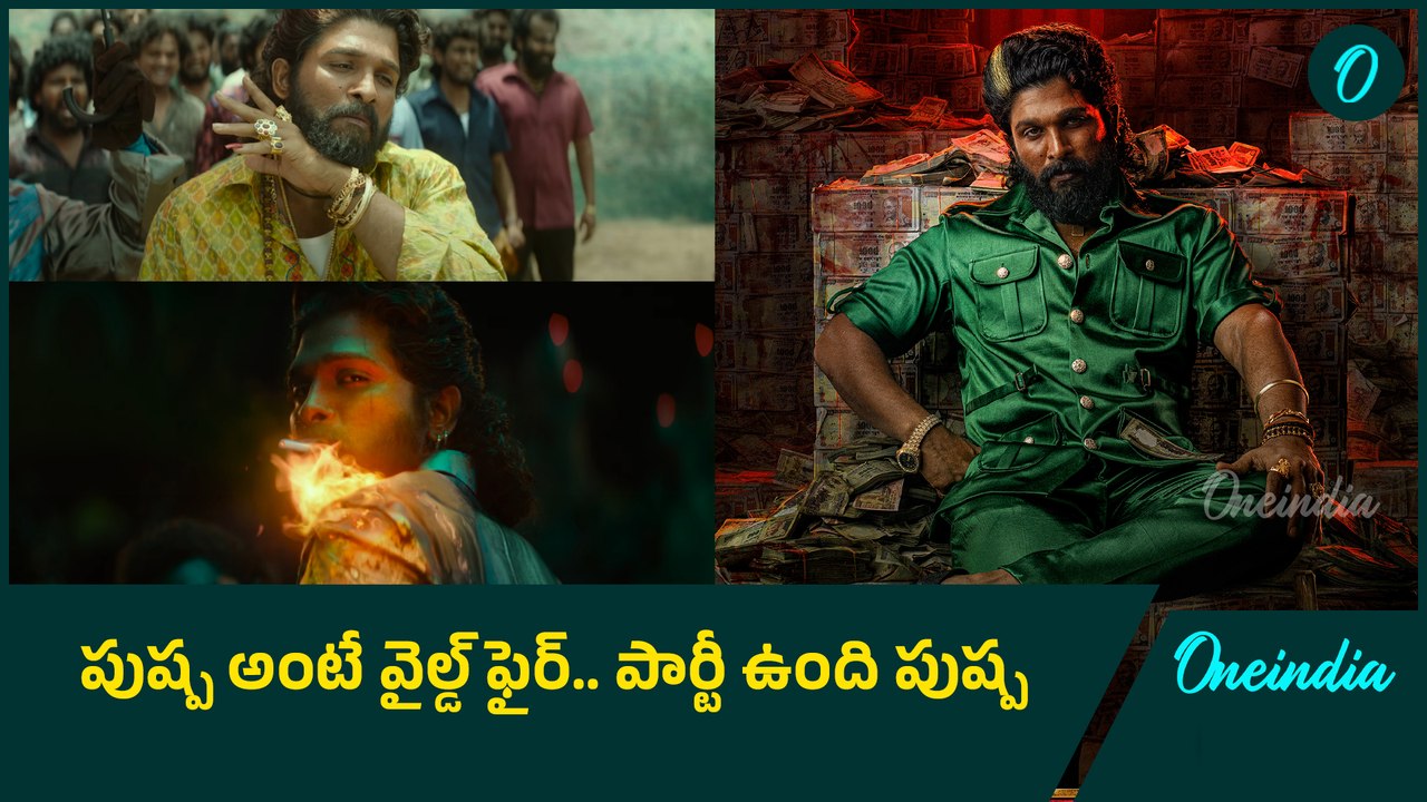 Pushpa2 The Rule Trailer Review: పుష్ప అంటే నేషనల్ అనుకుంటిరా..పుష్ప అంటే  ఇంటర్ నేషనల్..