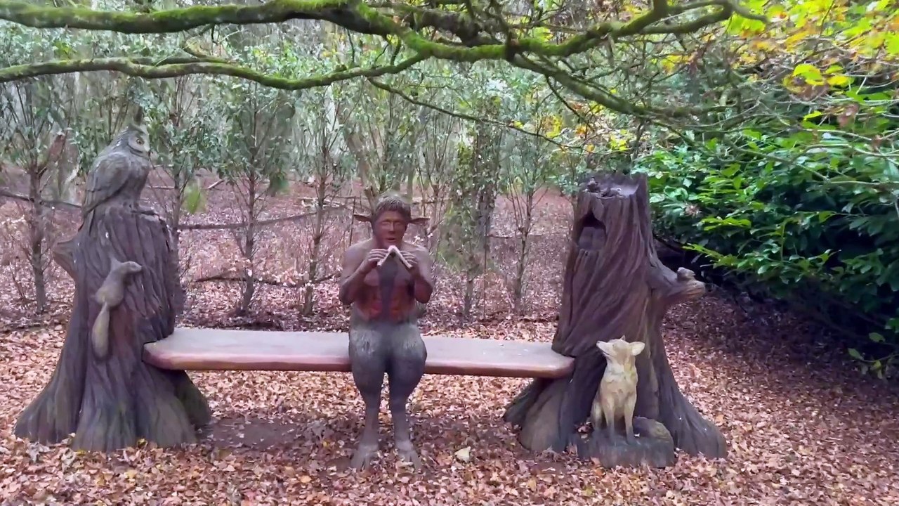 Ultimate fantasy treehouse