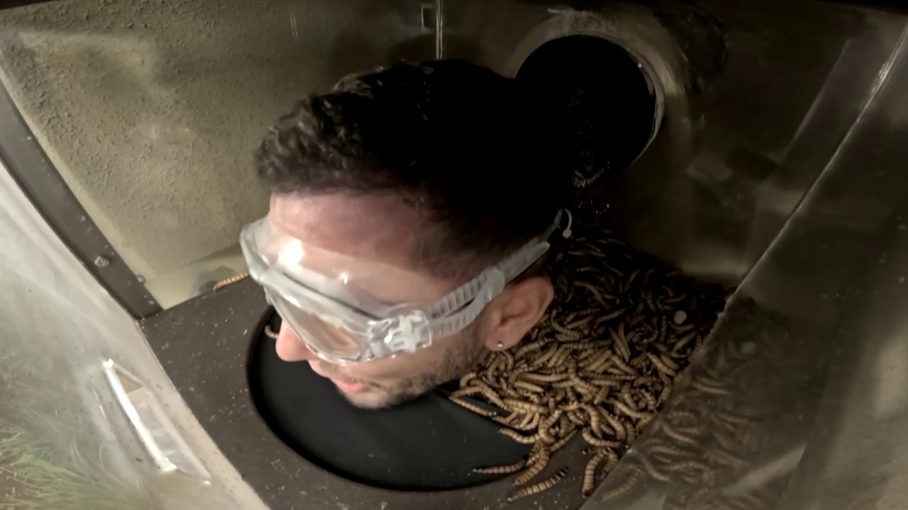I’m A Celeb’s Dean McCullough covered with mealworms in trial