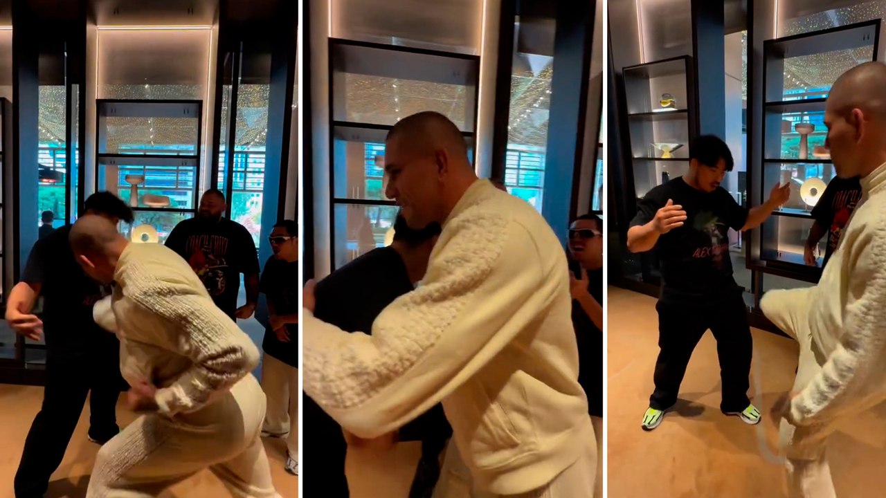 Alex Pereira Hits Fan