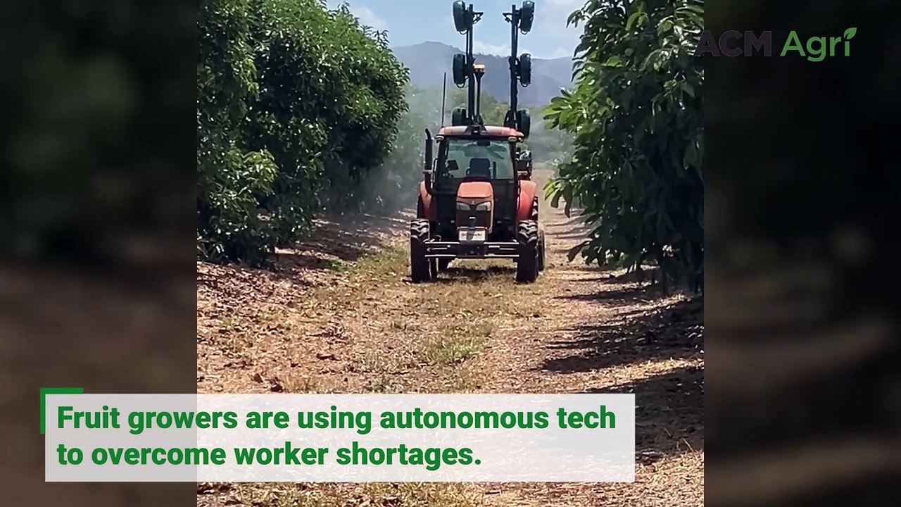 Fruit growers take on autonomous tech to overcome worker shortage