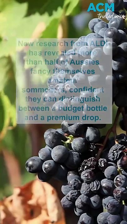 Can wine snobs really tell the difference in ALDI’s undercover taste test?