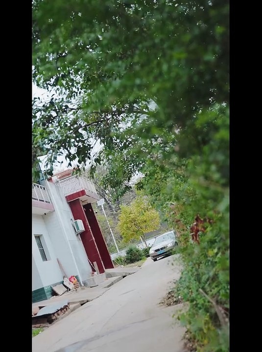 【最新短剧合集】 鸠占鹊巢&我的极品保姆