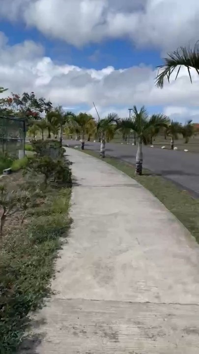 SE BALADER à l’ombre des Palmiers de Mont Choisy