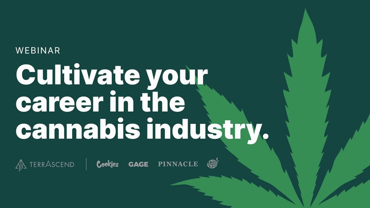 Cultivate Your Career Panel