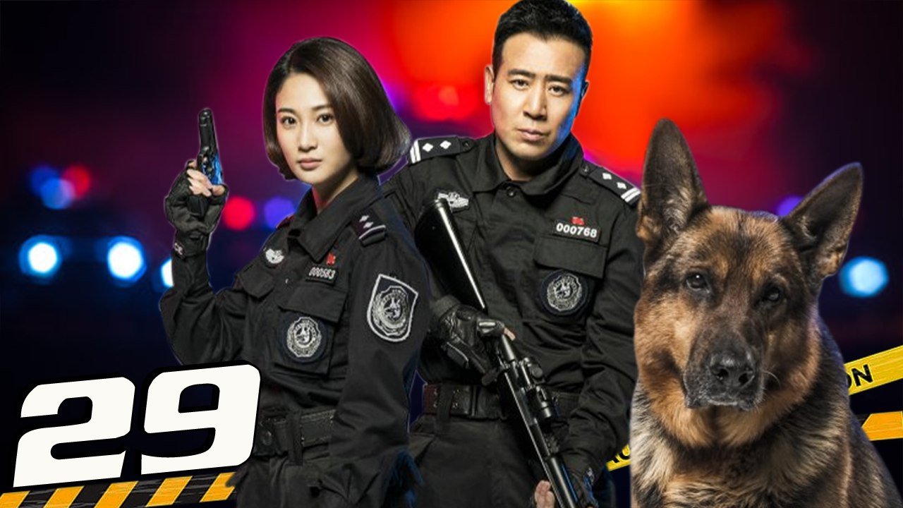 HOA KHÔI VÀ CẢNH KHUYỂN - Tập 29 (Lồng Tiếng) | Phim Hành Động Cảnh Sát Hình Sự Hay Nhất